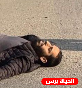 محمد أبو القيعان .. تعرف على منفذ عملية بئر السبع
